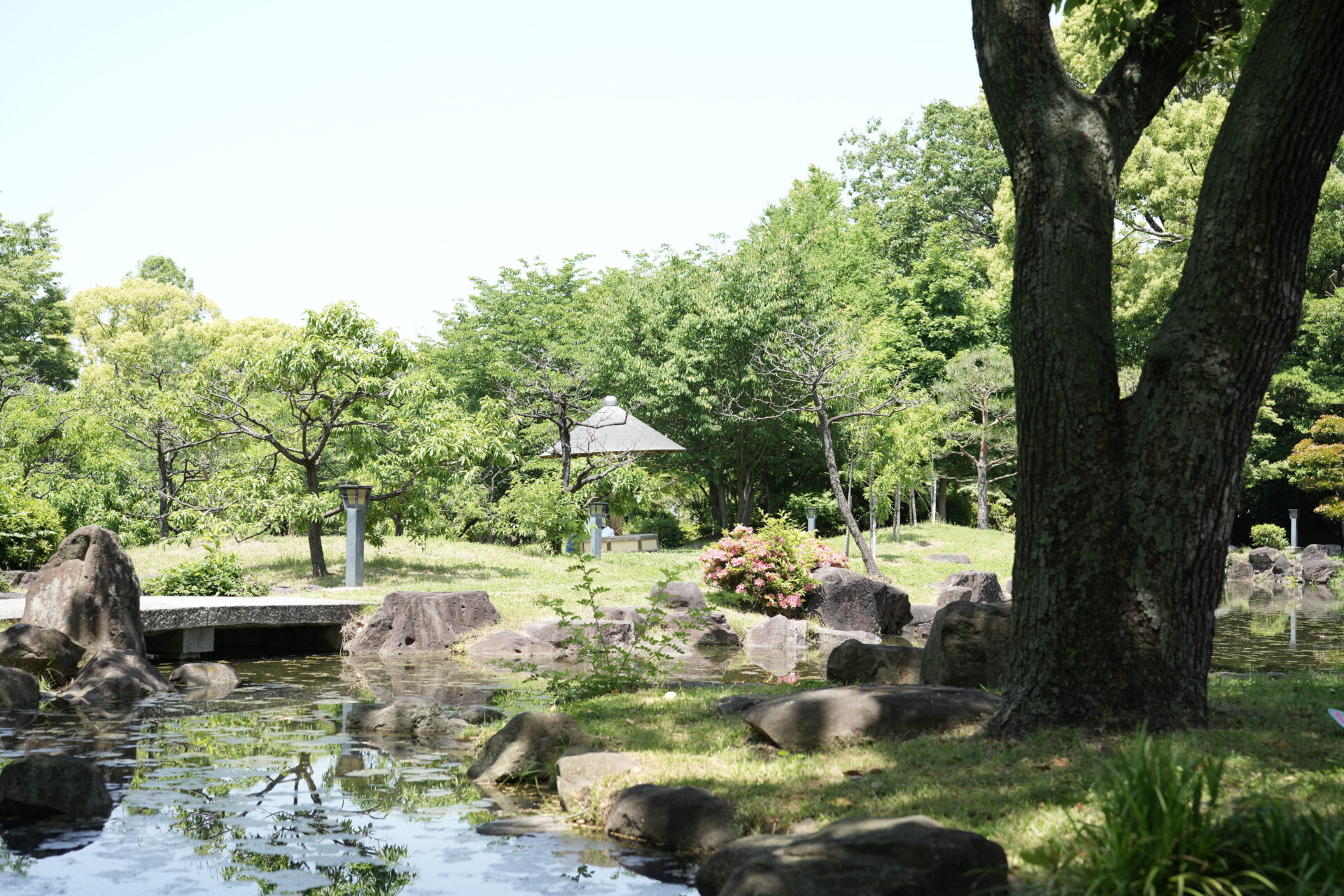 てんむすび税理士事務所｜税務・IT・事業譲渡まで｜大阪市都島区 | 非居住者で日本の会社から役員給与をもらったら、どんな税金がかかるか？