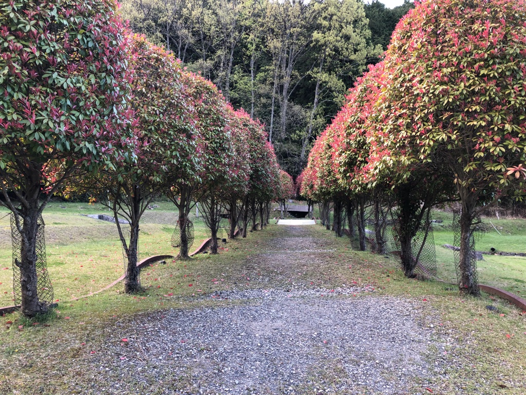 室生山上公園芸術の森